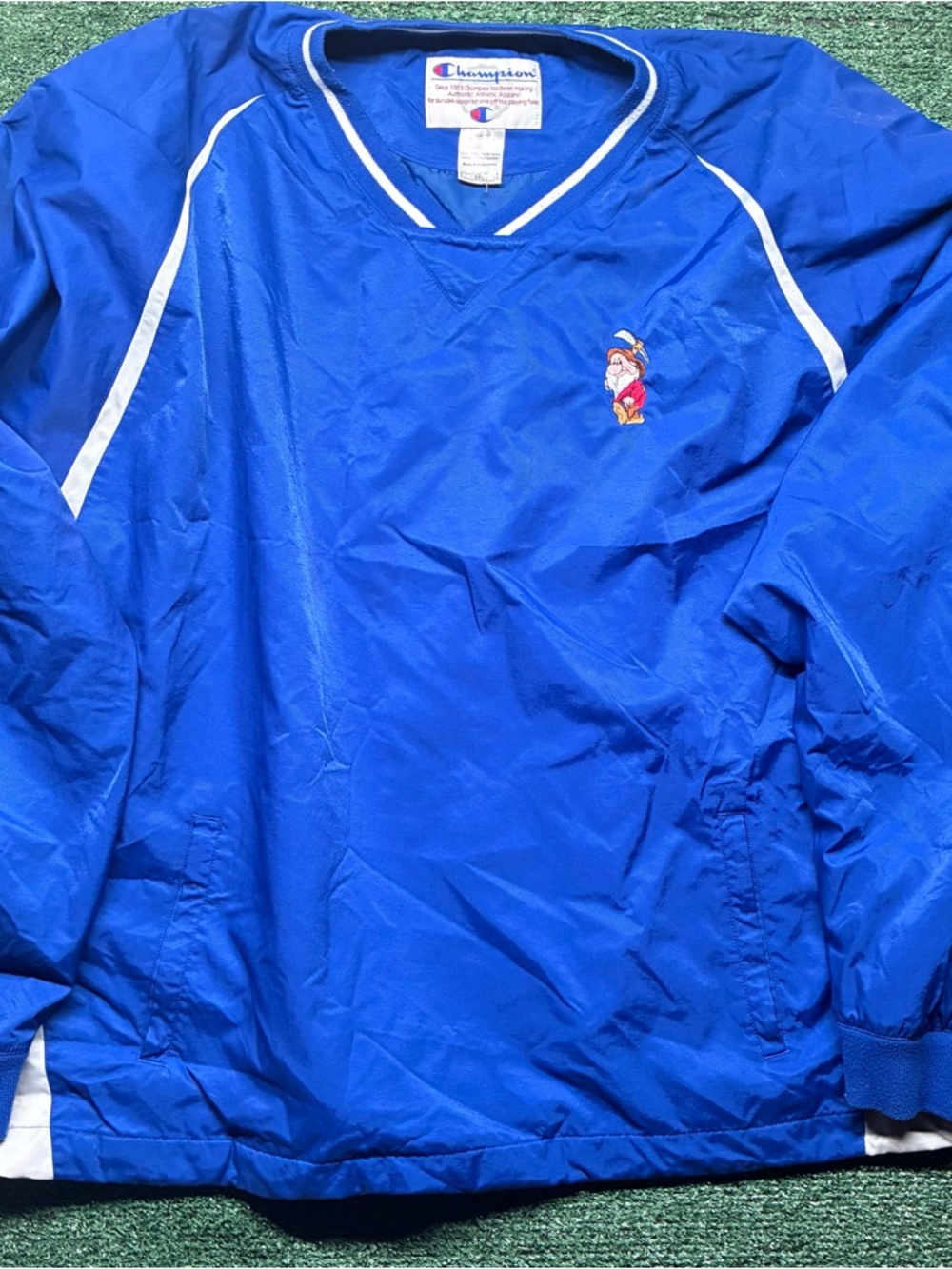 Champion Disney Blue Pullover Windbreaker